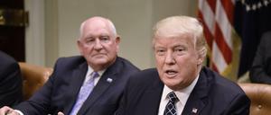 US-Präsident Donald Trump.