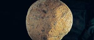 Kalifornischer Ur-Hammer. Nach Ansicht der Forscher wurde der Stein von Frühmenschen benutzt, um Knochen zu zerschlagen und an deren Mark zu gelangen..