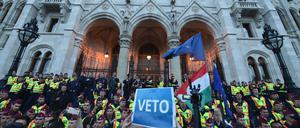 Demonstranten Anfang April vor dem Parlament in Budapest.