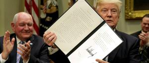 Vor allem mit seinen Dekreten zur Einwanderung gerät Donald Trump in Schwierigkeiten mit der Justiz. 