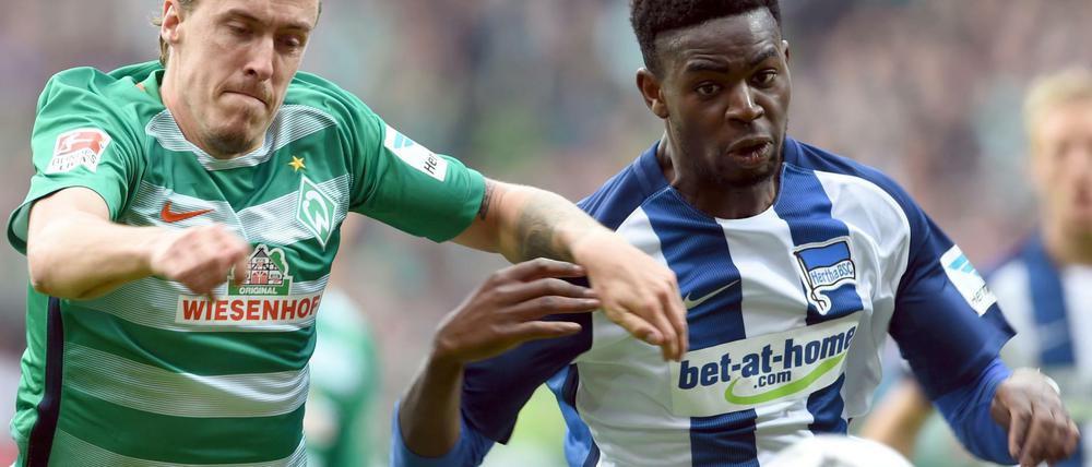 Bremens Max Kruse (links) kämpft mit Berlins Jordan Torunarigha um den Ball.