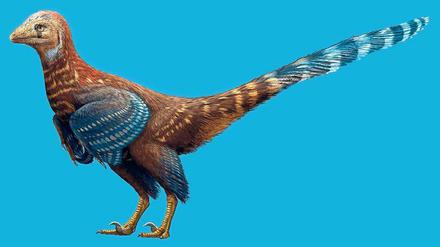 Der Fund eines urzeitlichen Dinosaurierfossils mit Federn (im Bild eine Rekonstruktion) zeigt, dass es das Gefieder heutiger Vögel schon zur Kreidezeit gab.