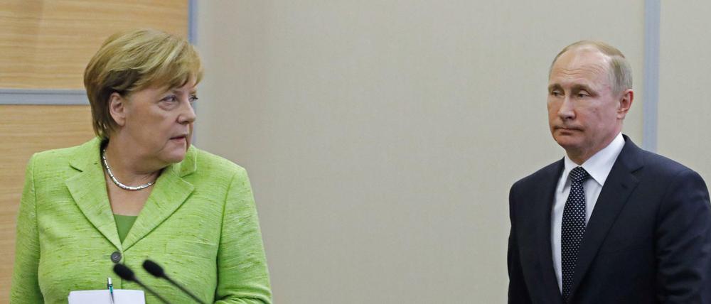 Angela Merkel und Wladimir Putin bei ihrem Treffen in Sotschi.