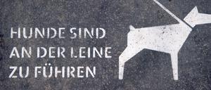 Beim Myfest ging ein Hund verloren. Die Polizei fand den Besitzer. 