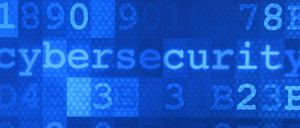 Bei der Konferenz in Potsdam ging es um Cybersicherheit.