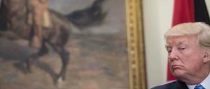 US-Präsident Donald Trump ist der prominenteste Protagonist unter den neofeudalen Herrschern.