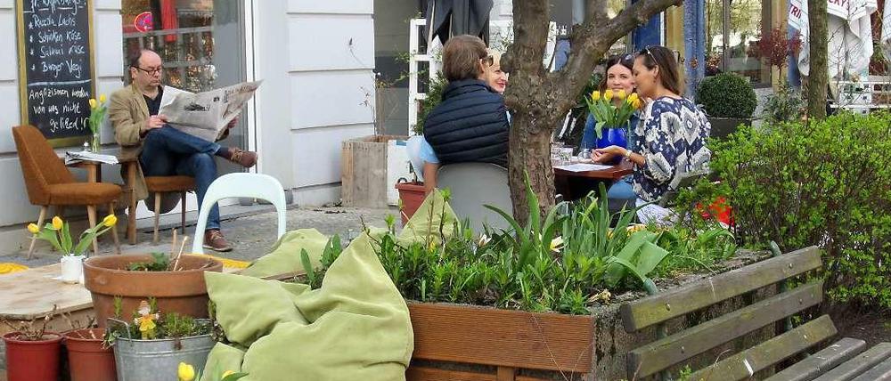 In der Oderbergerstraße gibt es Frühstück um die bepflanzte Baumscheibe herum.