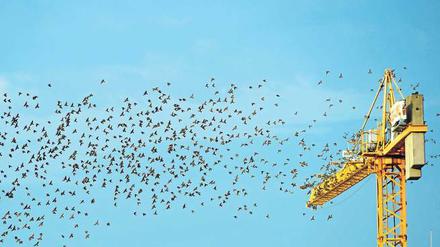 Abflug? Die Schwarmfinanzierung von Bauvorhaben ist gefährdet.
