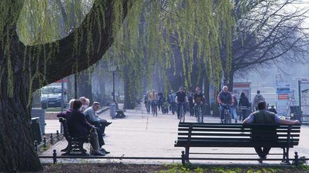 Auf der Greenwich-Promenade findet das Tegler Hafenfest statt. Das erfreut nicht alle Anwohner.