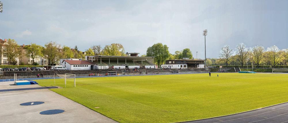 Der Hauptplatz im Stadion Lichterfelde wird vor allem von den Regionalliga-Mannschaften genutzt.