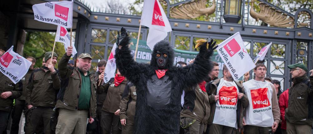 Mitarbeiter des Berliner Zoos stehen am 08.05.2017 während eines Warnstreiks vor dem Zoo in Berlin.