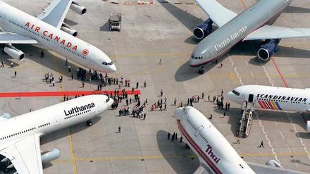 Starkes Bündnis. Eine Maschine der Lufthansa steht mit Maschinen anderer Partner auf dem Flughafen Frankfurt/Main. 