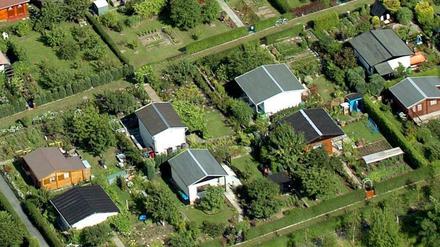 Der „Bezirksverband der Kleingärtner Berlin-Weißensee e. V.“ fragt Bewerber nach ihrem kulturellen Hintergrund.