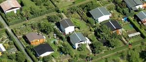 Der „Bezirksverband der Kleingärtner Berlin-Weißensee e. V.“ fragt Bewerber nach ihrem kulturellen Hintergrund.