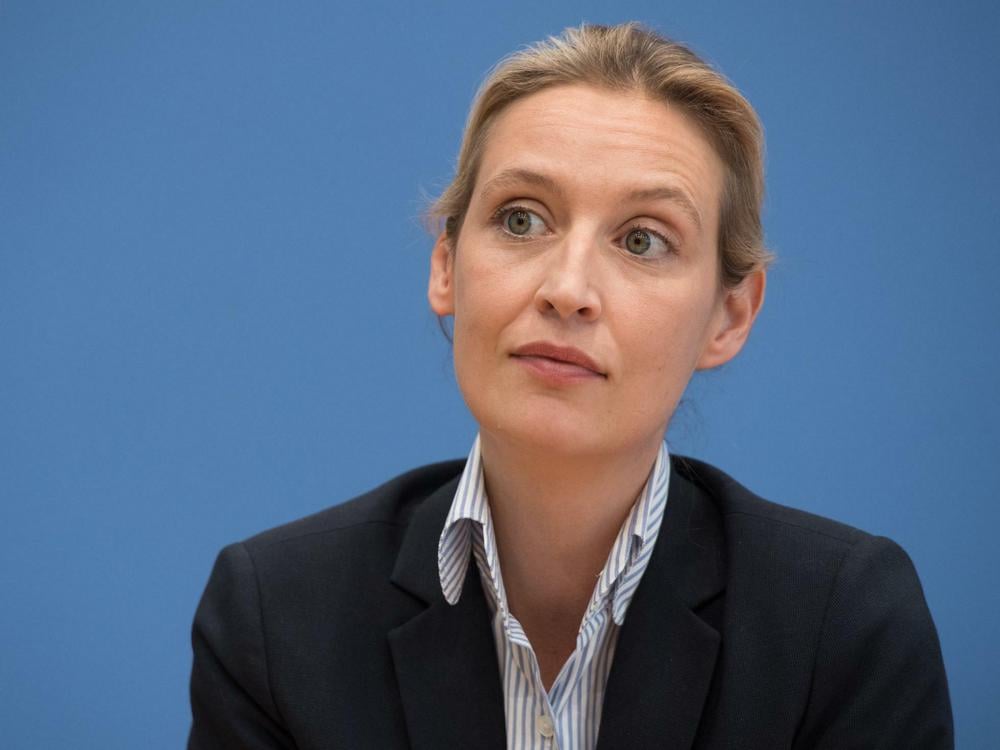 AfD-Frau Alice Weidel verliert vor Gericht: "Nazi-Schlampe" ist okay, weil  Satire