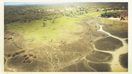 Perfekte Savanne. Soweit das Auge reicht und über den Horizont hinaus bietet das Selous wilden Tieren Bewegungsraum. 