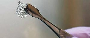 Kunst-Ovar. Das Gerüst des Retorten-Eierstocks besteht aus Gelatine.