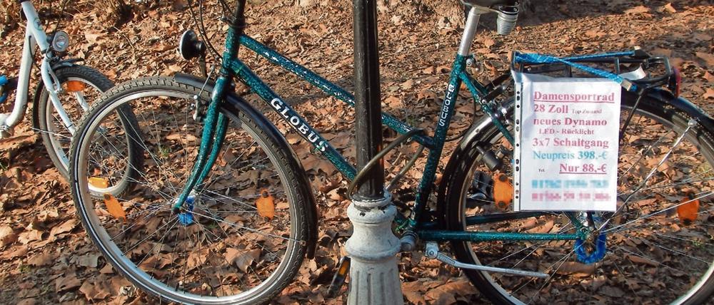 Ziemlich neu – und sehr billig. Auch dieses Rad steht am Lietzensee. Es sind auffällig viele. 