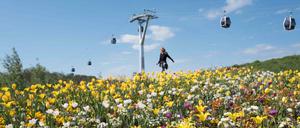 Blütenträume unter der Seilbahn. Auf der IGA kann man einen wunderschönen Tag erleben. 