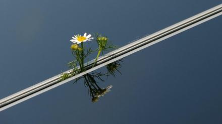Solarenergie könnte auch Häuser wärmen oder Autos antreiben, direkt mit Strom oder über den Umweg einer Umwandlung von Strom in Wasserstoff oder Gas. Sektorenkopplung nennt sich das Konzept. 
