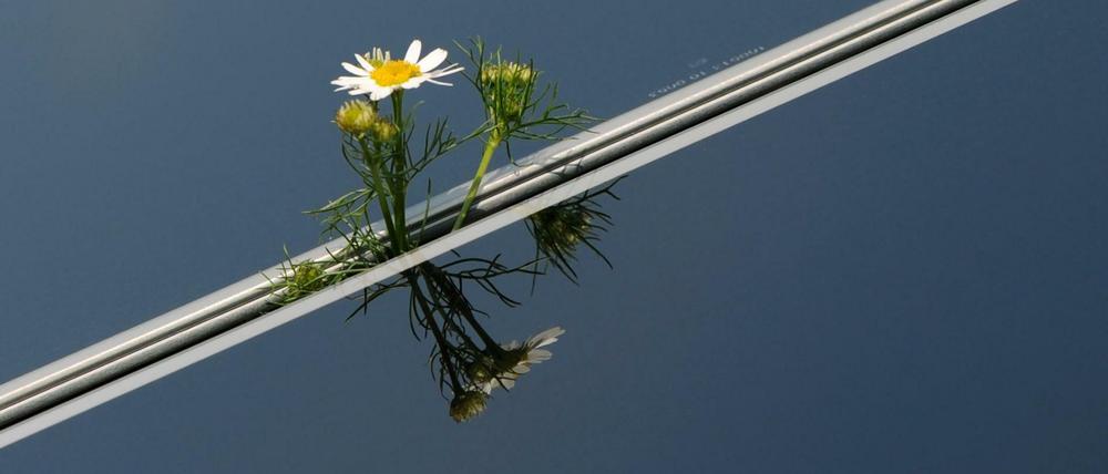 Solarenergie könnte auch Häuser wärmen oder Autos antreiben, direkt mit Strom oder über den Umweg einer Umwandlung von Strom in Wasserstoff oder Gas. Sektorenkopplung nennt sich das Konzept. 