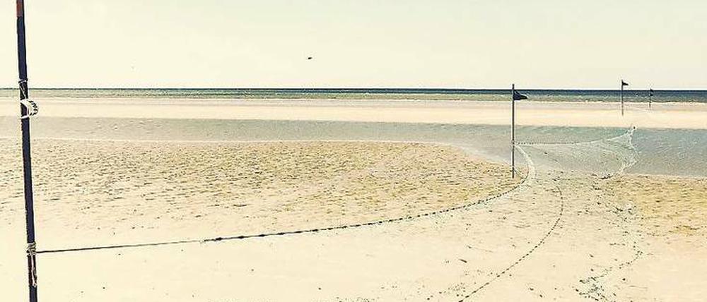 Am Strand von Fanø.