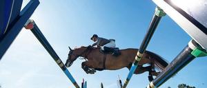 Viel Geld gibt es auch. Das Gesamtpreisgeld für das Derby von Hamburg stieg um 25 Prozent auf 1,4 Millionen Euro. 