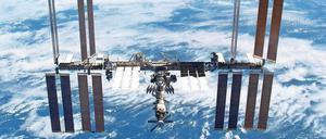 An den Spermien scheitert das Überleben des Menschen im All nicht - sie widerstehen auch monatelanger Strahlenbelastung in der ISS.