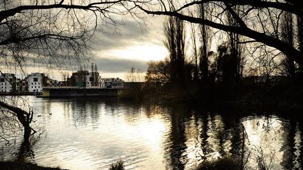 Die Rummelsburger Bucht mit Blick auf Alt-Stralau. 