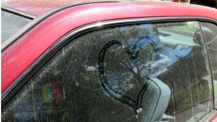 Blütenstaub auf Autos eignet sich sogar zum Bildermalen.