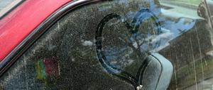 Blütenstaub auf Autos eignet sich sogar zum Bildermalen.