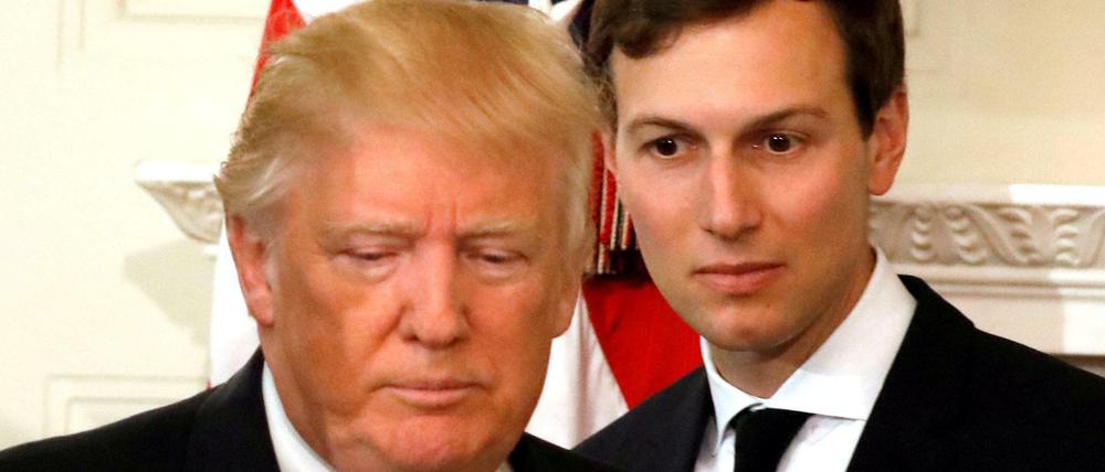 Engster Vertrauter: Donald Trumps Schwiegersohn Jared Kushner ist auch Berater des US-Präsidenten.