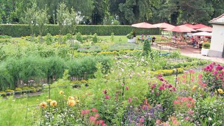In Kladow - unweit des Schiffsanlegers - findet man das Sommercafé Fraenkelgarten.   