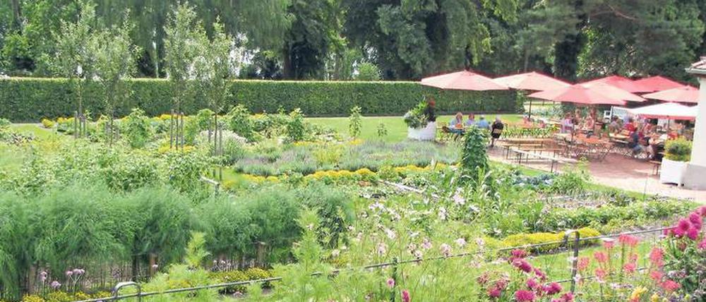 In Kladow - unweit des Schiffsanlegers - findet man das Sommercafé Fraenkelgarten.