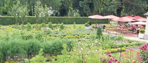In Kladow - unweit des Schiffsanlegers - findet man das Sommercafé Fraenkelgarten.   