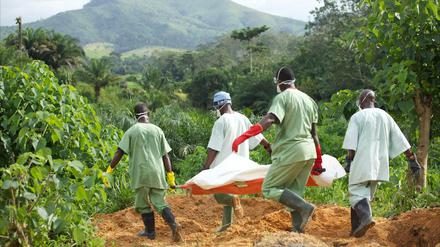 In Guinea wurde ein Impfstoff gegen Ebola getestet, als die Seuche dort 2015 umging. 