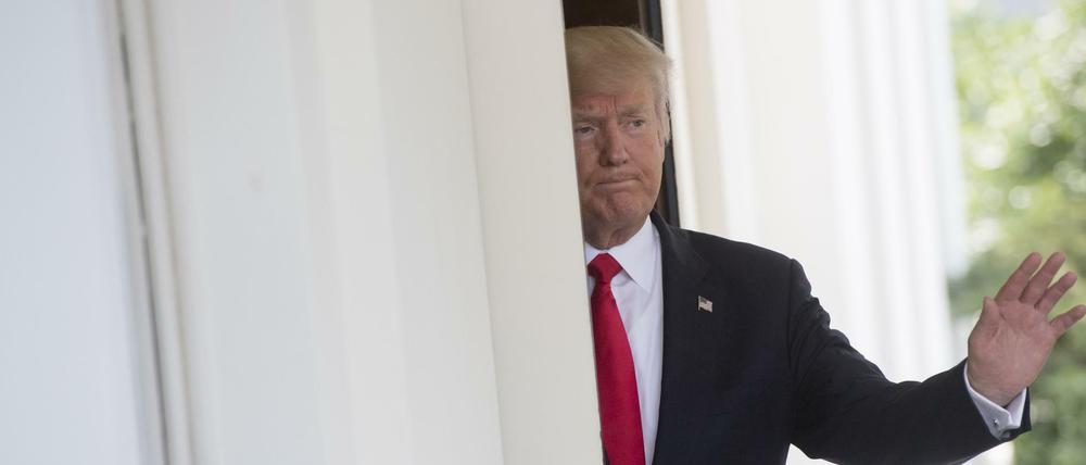Donald Trump, Präsident der Vereinigten Staaten von Amerika. 