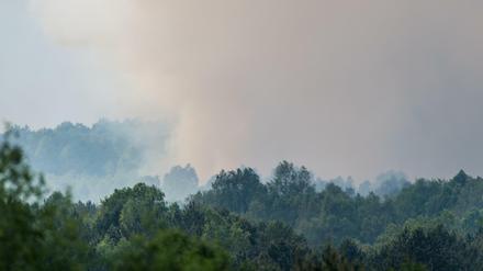 Dunkle Rauchwolken eines Waldbrandes aus dem Gebiet der Lieberoser Heide.