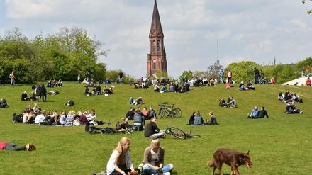 Der Görlitzer Park in Kreuzberg 