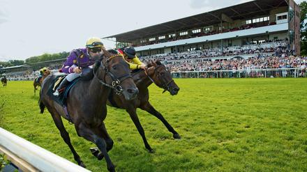 Knappe Duelle. Die Rennen in Hoppegarten werden auch für ausländische Pferdebesitzer immer interessanter – und somit immer enger.