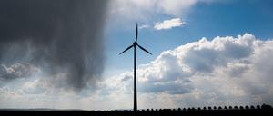 Die Energiewende hat für die meisten Energiemanager alles verändert: Die alten Gewissheiten sind verschwunden und oft auch die Geschäftsmodelle. 