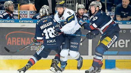 Mittendrin bei den Eisbären. Mit Thomas Oppenheimer haben die Eisbären einen echten Torjäger verpflichtet, der auch Führungsqualitäten mitbringt. 