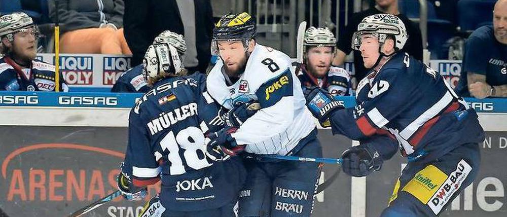 Mittendrin bei den Eisbären. Mit Thomas Oppenheimer haben die Eisbären einen echten Torjäger verpflichtet, der auch Führungsqualitäten mitbringt. 
