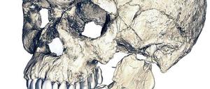 Kopfzerbrechen. Der Fund 300 000 Jahre alter Menschenknochen in Marokko gibt Anthropologen Rätsel auf.