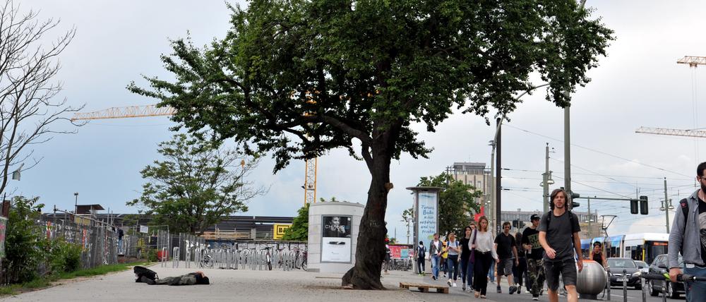 Bespuckt, bepinkelt und angezündet. Diesem Baum auf der Warschauer Straße ist nichts Menschliches fremd.