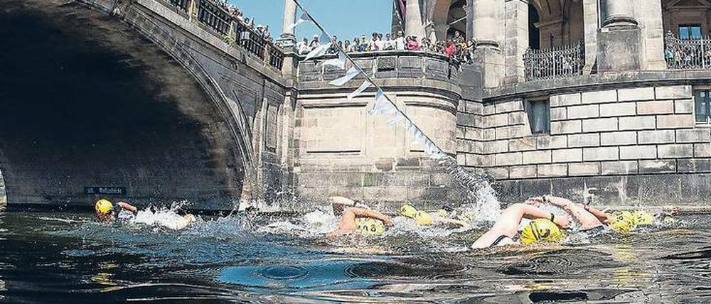 Baden in der Spree. In ein paar Jahren soll es möglich sein, an der Museumsinsel zu schwimmen. 