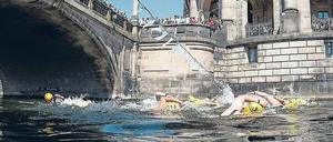 Baden in der Spree. In ein paar Jahren soll es möglich sein, an der Museumsinsel zu schwimmen. 