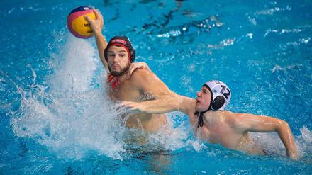 Marko Stamm führt die Wasserfreunde Spandau 04 ins Finale