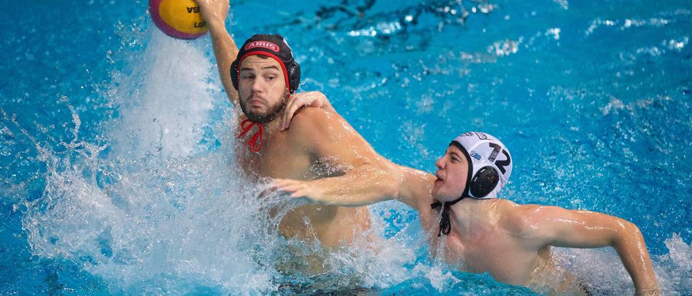Marko Stamm führt die Wasserfreunde Spandau 04 ins Finale