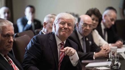 Eine neue Art von Kabinettstreffen: US-Präsident Donald Trump 